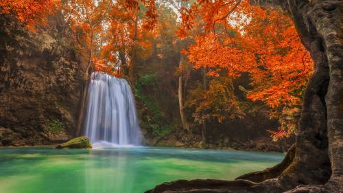 Erawan Waterfall Orange Leaves