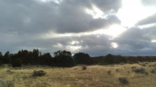 A afternoon walk 🔥🤘Greetings from New Mexico 🔥