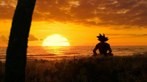 Goku taking a rest at sunset