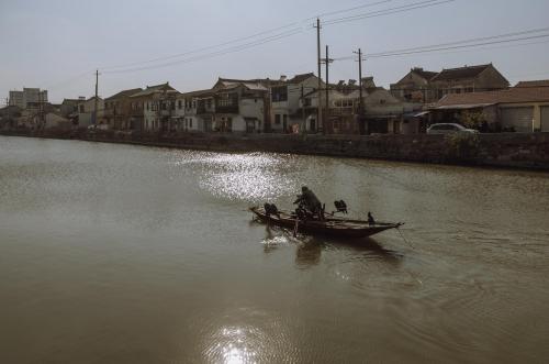 the fisherman took his cormorants across the village river in the afternoon 2014 DingShu