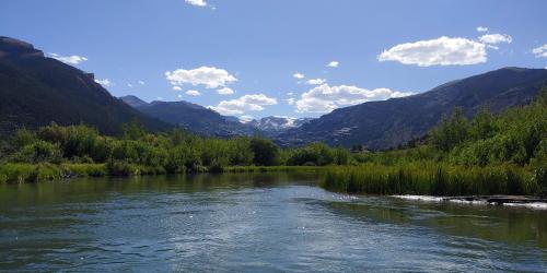 Whiskey Mountain, Wyoming, USA , 8 July 2022