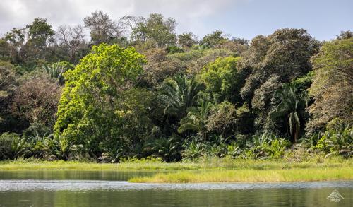 Soberanía National Park, Panama