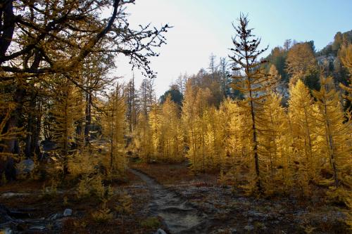 Fall in the North Cascades