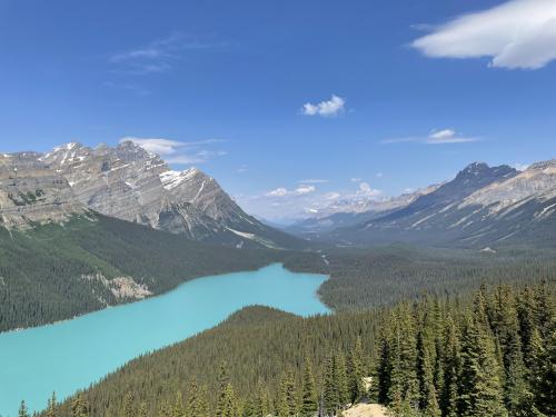 Peyto lake Alberta,  OC