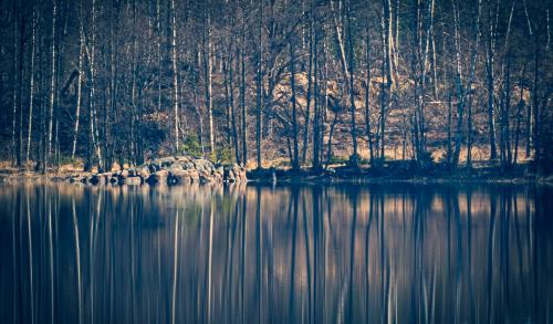 Reflection. Kolmården, Sweden.