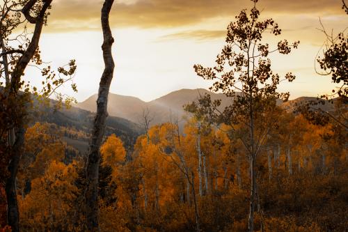 Last light in Big Cottonwood Canyon