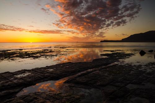 Tessellated Pavement - Tasmania, Australia, daniel.frost