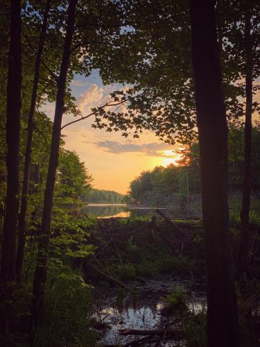 Sunrise in Frontenac Provincial Park, Ontario Canada