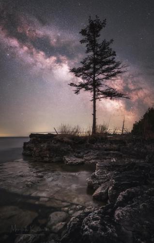 Lone Tree and the Milky Way - Wisconsin, USA