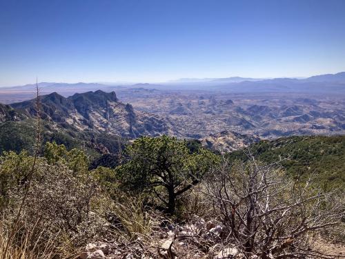 Bassett Peak in the Coronado National Forest, AZ