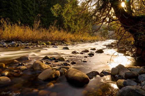 Seymour River in Lynn Valley