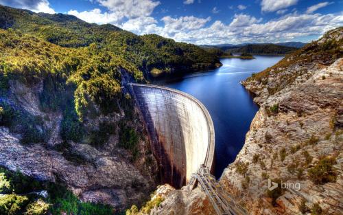 beavers build beautiful dams.