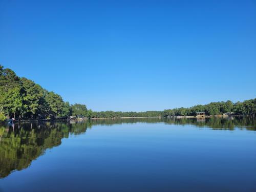 Pictures I took while kayaking