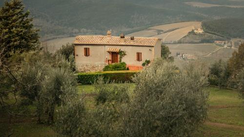 Old cottage located in vineyards in hilly valley at sundown