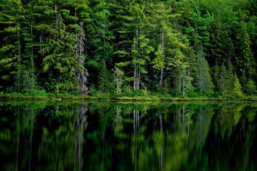 Evergreen Reflections Toivola, Michigan UP