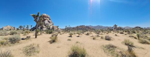 Joshua Tree National Park, CA