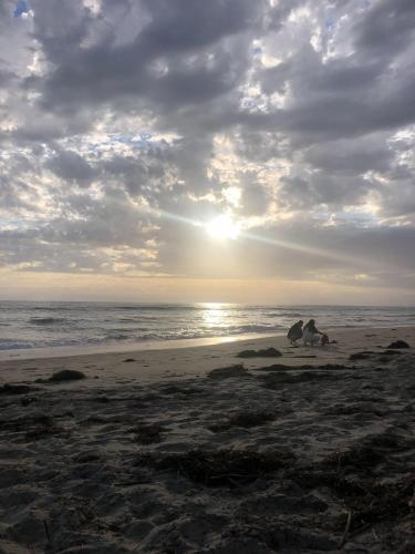 waiting for the coffees to finish at work so here’s carlsbad beach :•