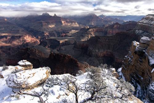 The morning after a fresh coat of snow in Grand Canyon National Park, AZ.