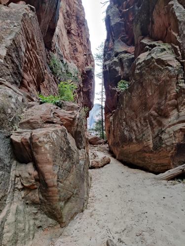 Behunin Canyon, Zion National Park, Utah USA