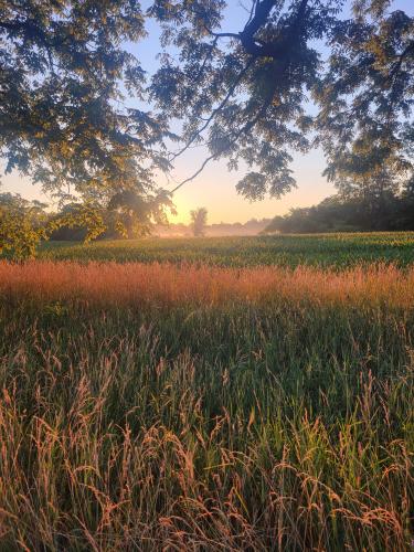 Sunrise, South of London Ontario. OC.