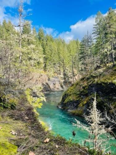 Cowichan River. Vancouver Island, British Columbia, Canada