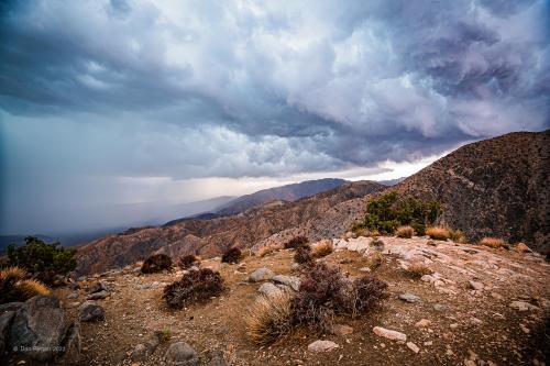 Joshua Tree National Park