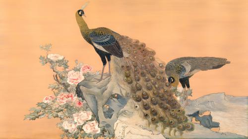 Japanese Art  8K Peacocks