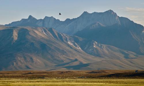 Eastern Cali's steppe region