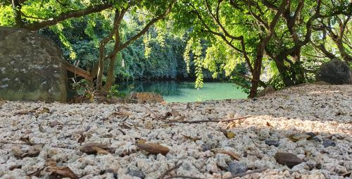 Riviere La Chaux - Mahebourg, Mauritius