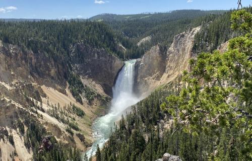 Lower Falls, Yellowstone National Park, Wyoming