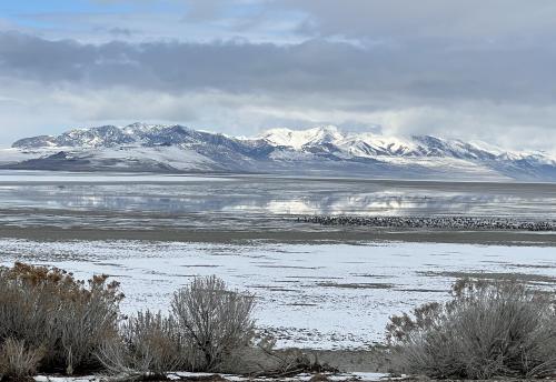 Antelope Island, Great Salt Lake, Utah
