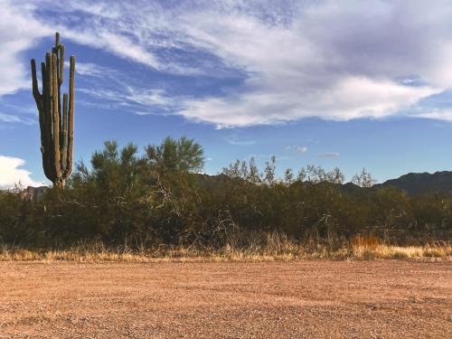 Apache Junction, Arizona