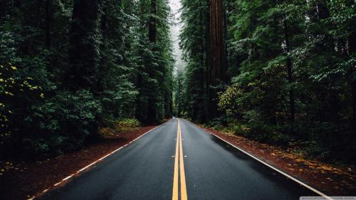 Beautiful Road