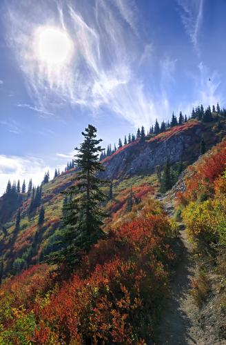 Fall in the northeastern foothills of Mt. St. Helens