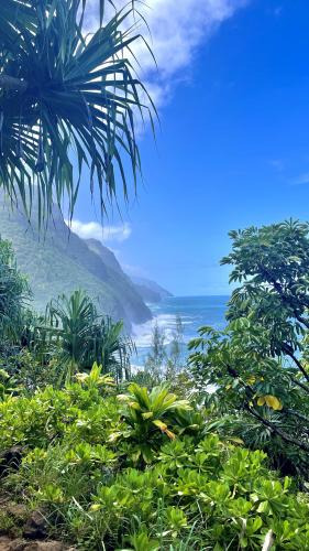 The Nā Pali Coast, Kauai, Hi [2268 x 4032]