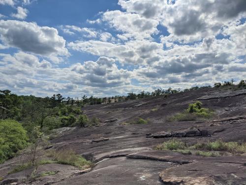 Arabia Mountain, Georgia