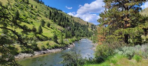 Boise National Forest