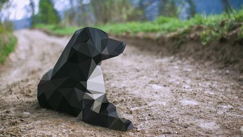 Low Poly Dog