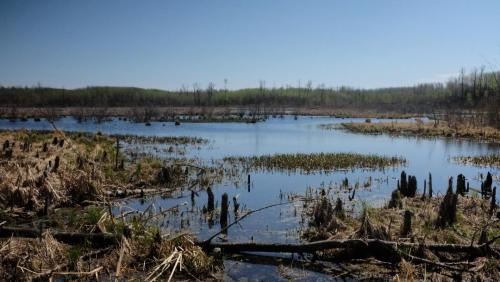 Elk Island Park Alberta