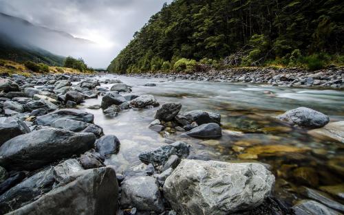 New Zealand Misty Jungle River Rocks