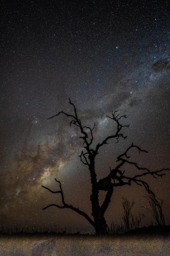 I drove over 1,300 sand dunes and didn't see anyone for 7 days in the Simpson Desert Australia to capture this picture of the Milky Way