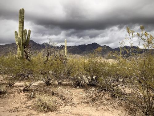 Storm over Santa Catalina Mountains- AZ