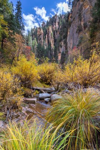 West Fork Oak Creek Canyon in autumn, Sedona, Arizona, USA