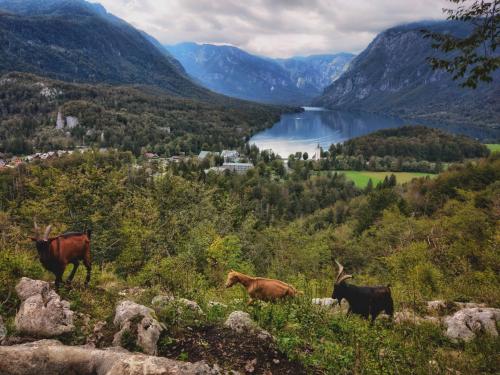 Slowenien mountains