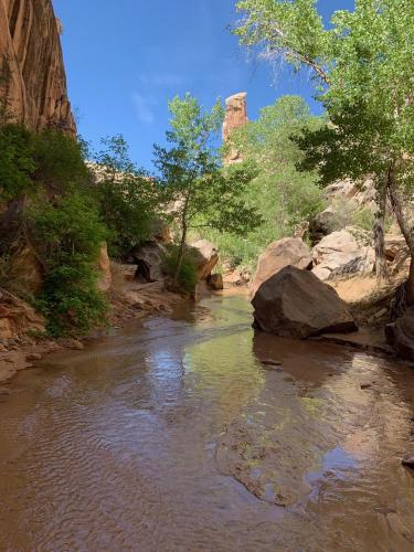 Hackberry Canyon, Utah.