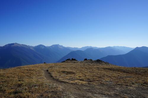 View from the top of Blue Mountain near Port Angeles, Washington