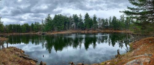 Beaver pond on Dedication Trail, Frontenac Provincial Park, Ontario Canada