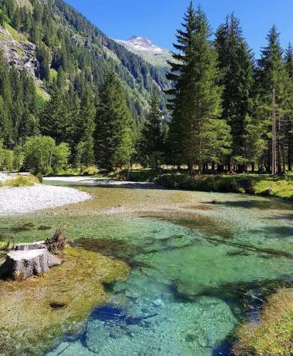 Seebachtal, Carinthia🌲