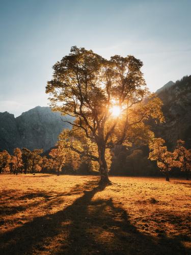 Sunset in autumn, Karwendel, Austria