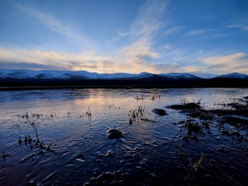 Loch Morlich from my Scotland trip in December. OC